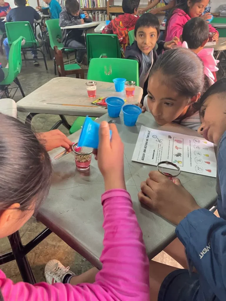 vallelapaz-programa-educacion0005