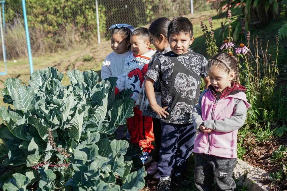 vallelapaz-programa-nutricion0000